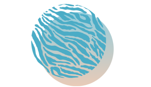 Zebra SAM Consulting